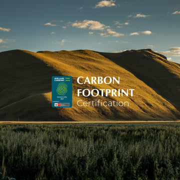 Carbon Footprint Peru Certification: A Continuing Commitment to the Environment